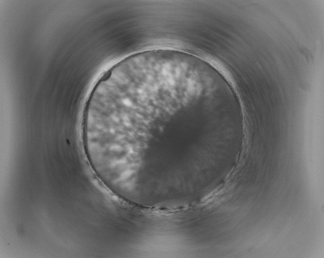 X0000111441104200908031347