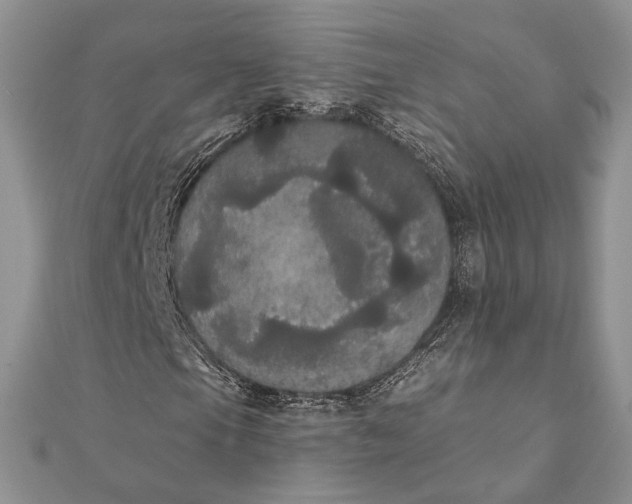 X0000111441105200908031347