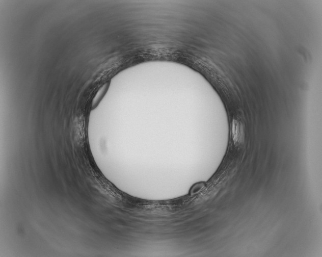 X0000111441107200908031347