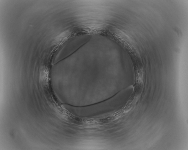 X0000111441108200908031347