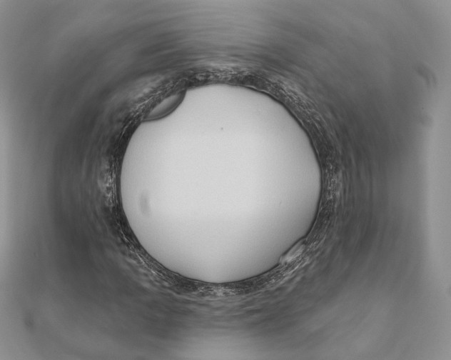 X0000111441109200908031347