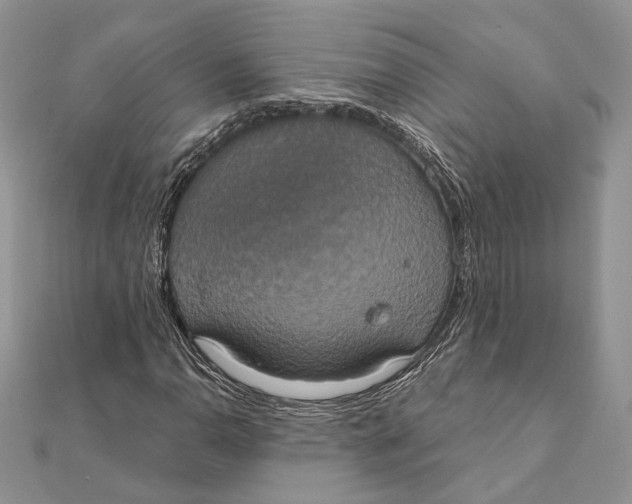 X0000111441110200908031347