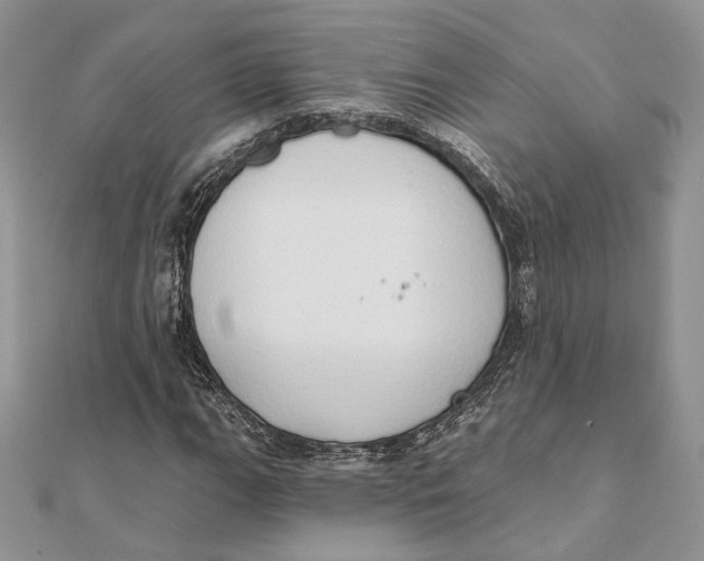 X0000111441111200908031347