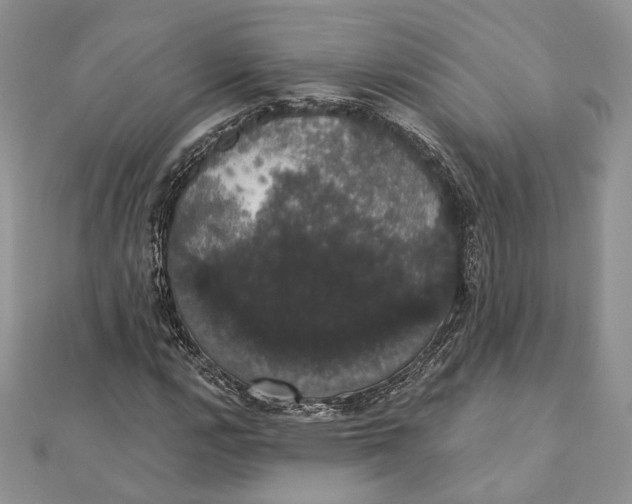 X0000111441112200908031347