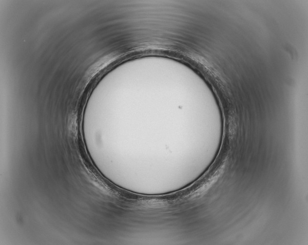 X0000111441113200908031347