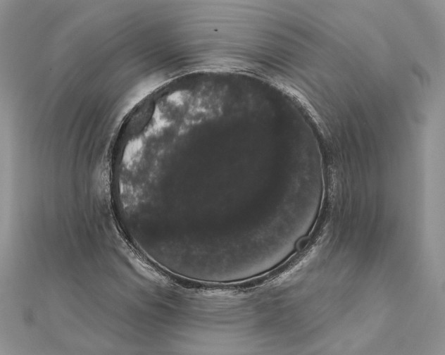 X0000111441114200908031347