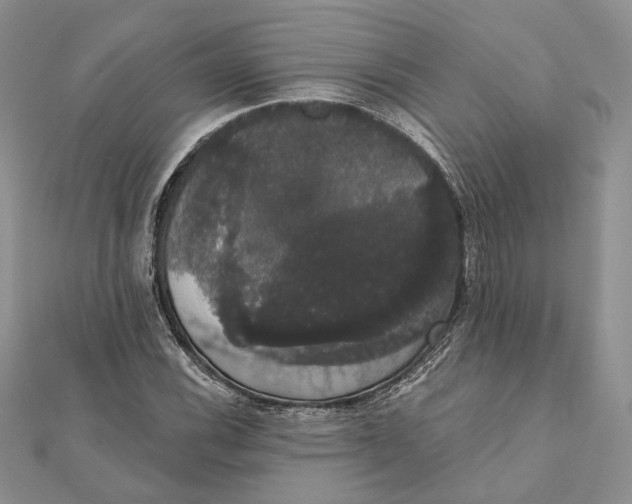 X0000111441116200908031347