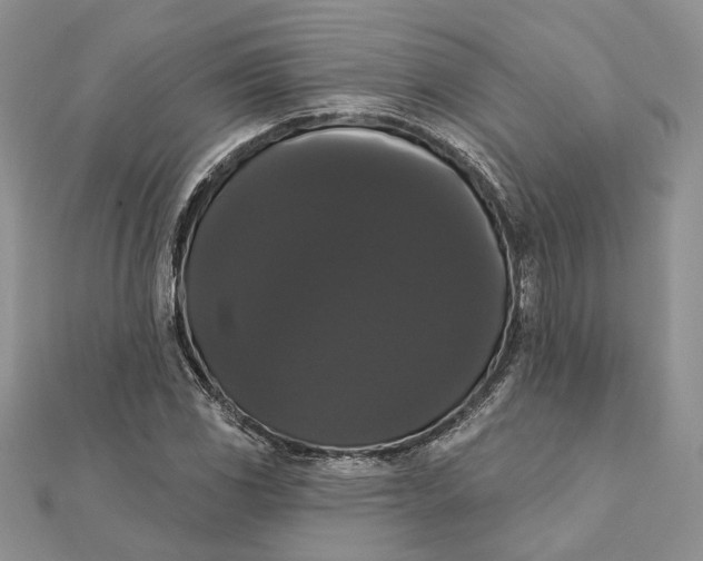 X0000111441117200908031347