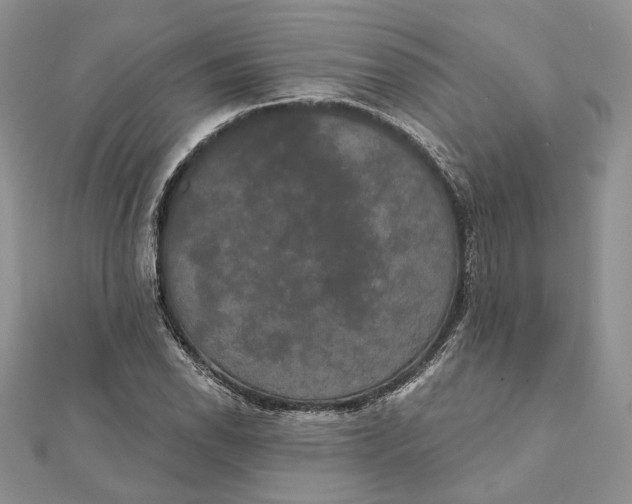 X0000111441118200908031347