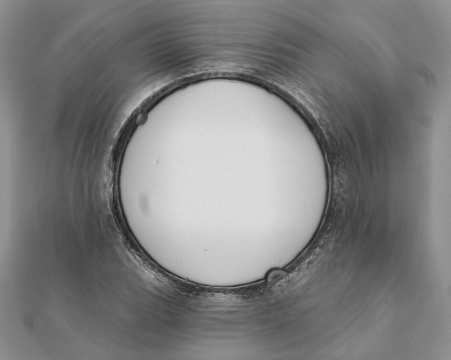 X0000111441119200908031347