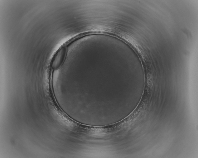 X0000111441120200908031347