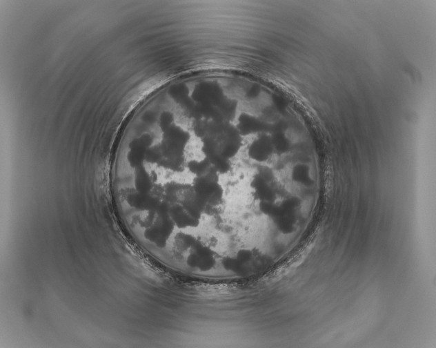 X0000111441121200908031347