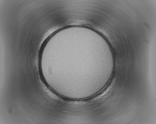 X0000111441122200908031347