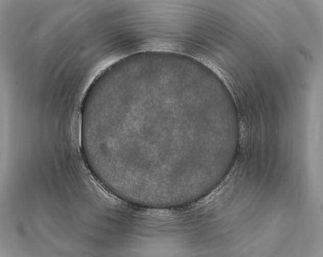 X0000111441123200908031347