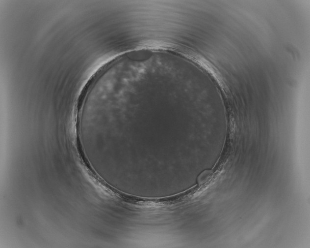 X0000111441124200908031347