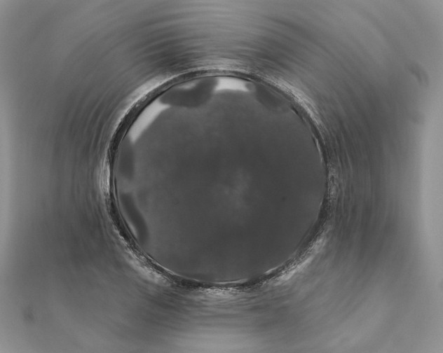 X0000111441125200908031347