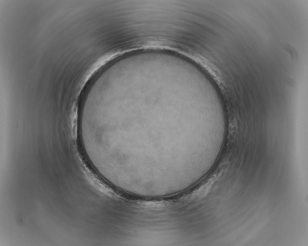 X0000111441126200908031347