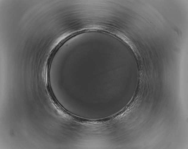 X0000111441127200908031347