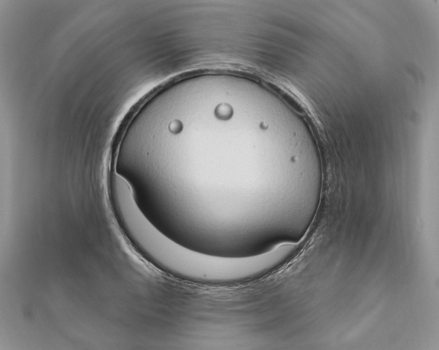 X0000111441128200908031347