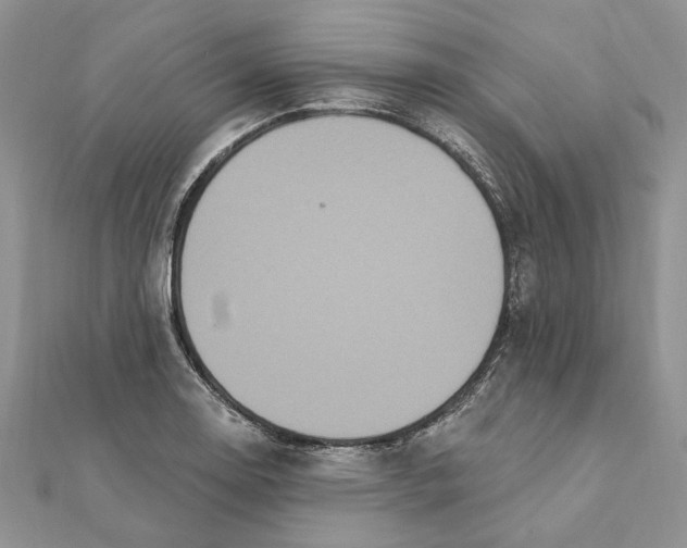 X0000111441130200908031347