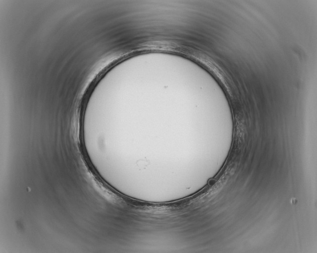 X0000111441131200908031347