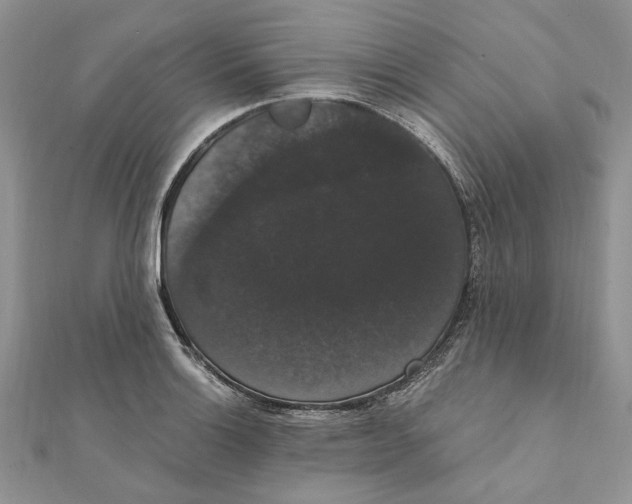 X0000111441132200908031347