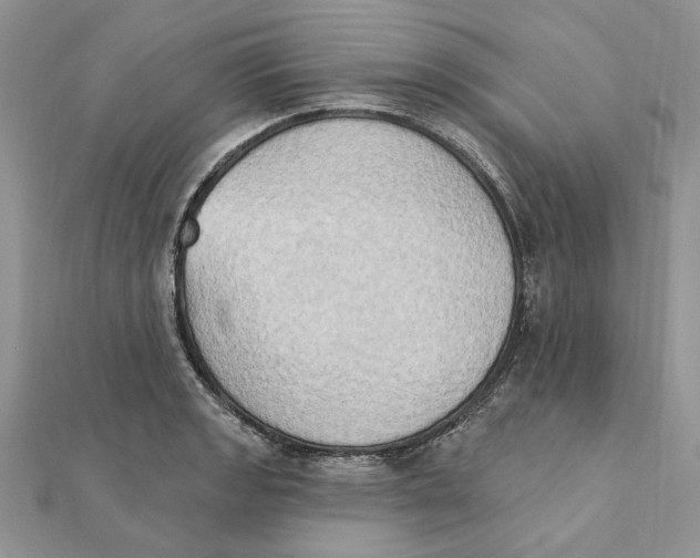 X0000111441133200908031347