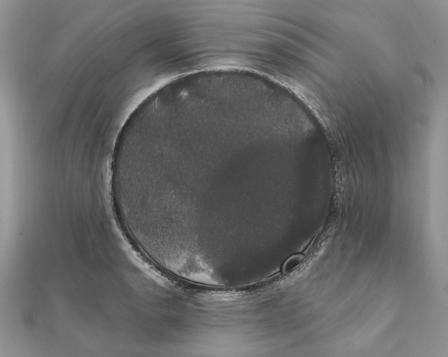 X0000111441134200908031347