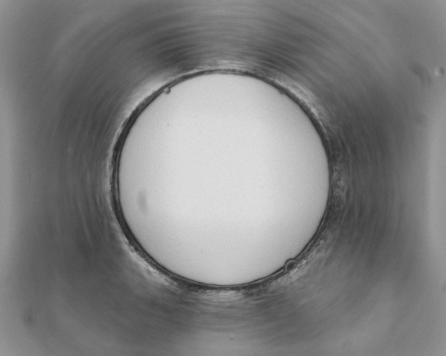 X0000111441135200908031347