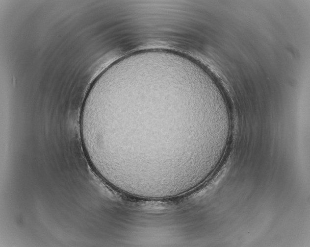 X0000111441137200908031347