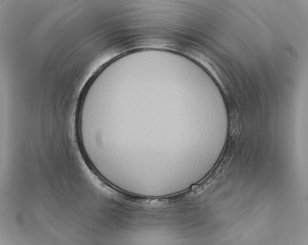 X0000111441139200908031347