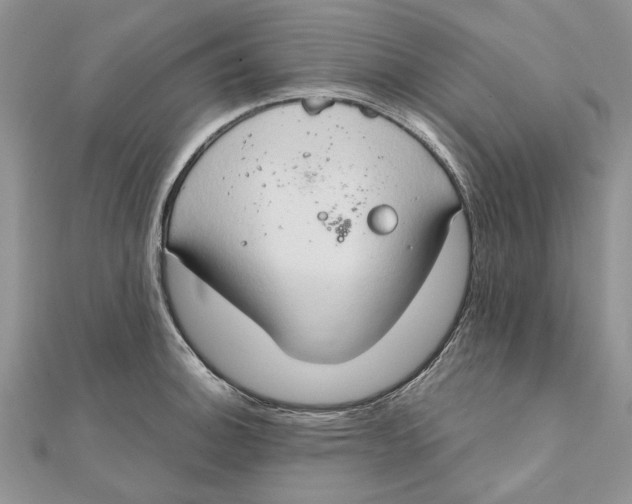 X0000111441140200908031347