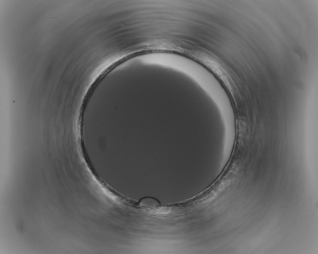 X0000111441141200908031347