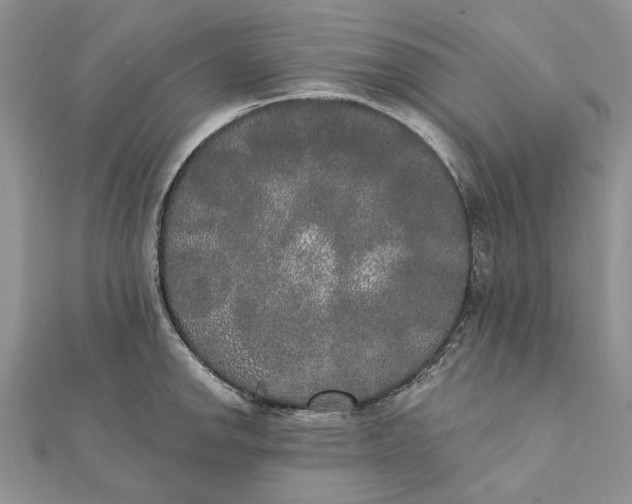 X0000111441142200908031347