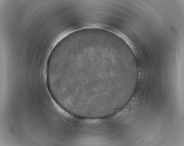 X0000111441143200908031347