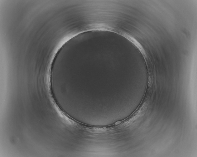 X0000111441144200908031347