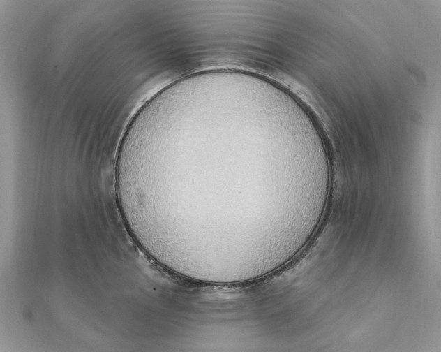 X0000111441145200908031347