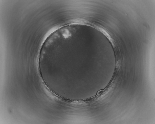 X0000111441146200908031347