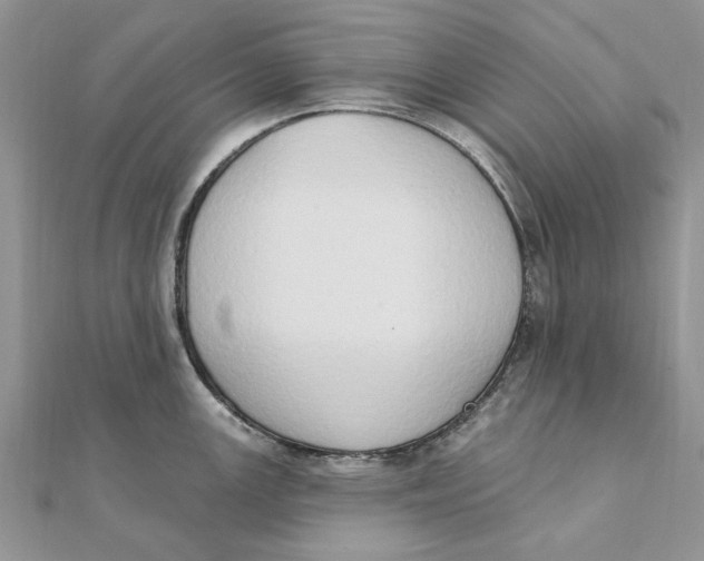 X0000111441147200908031347