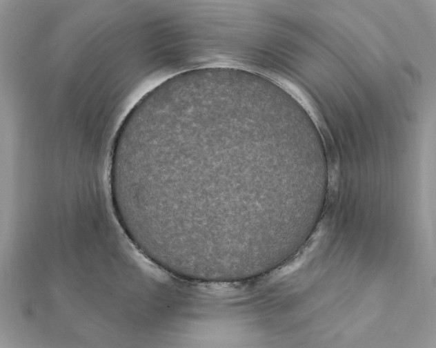 X0000111441149200908031347