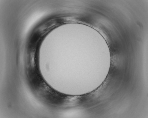 X0000111441150200908031347