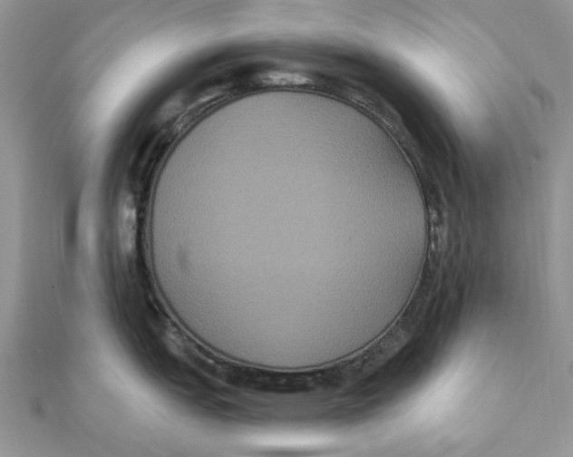 X0000111441151200908031347