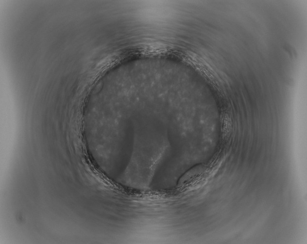 X0000111441153200908031347