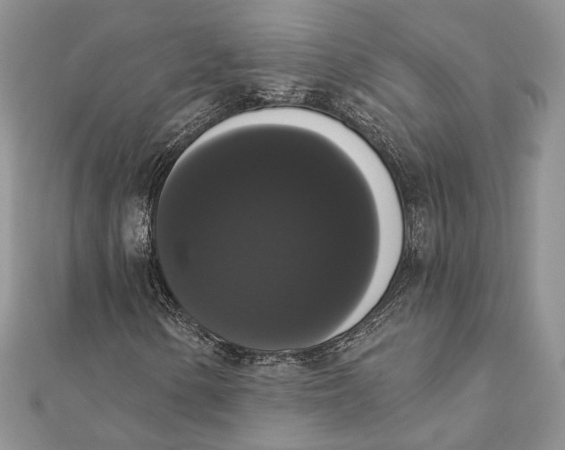 X0000111441154200908031347