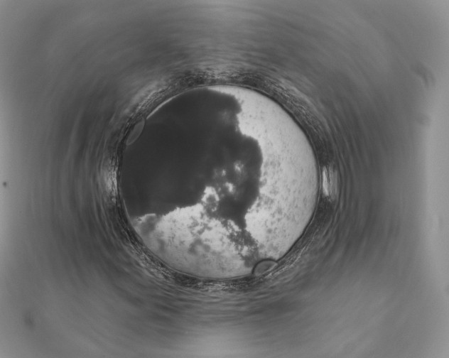 X0000111441155200908031347