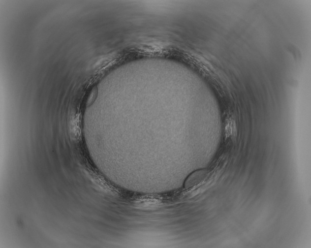 X0000111441156200908031347