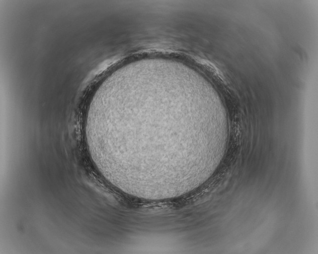 X0000111441159200908031347