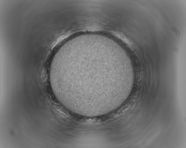 X0000111441160200908031347