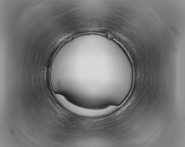 X0000111441161200908031346