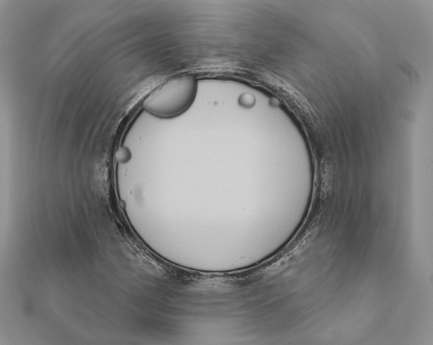 X0000111441162200908031346